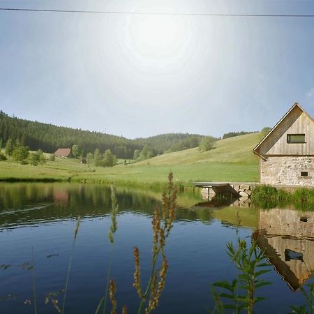 Vila Ferienhaus Im Schwarzwald Am See "Backhaeusle" Hornberg Exteriér fotografie